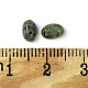 Cabochons de turquoise africaine naturelle (jaspe) G-A094-01A-03-3
