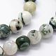 Natural Tree Agate Beads Strands G-I199-03-8mm-6