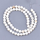 Freshwater Shell Beads Strands X-SHEL-S276-15A-2