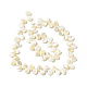 Fili di perle di conchiglia trochid naturale / trochus SHEL-F004-09-2