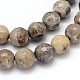 Natural Fossil Coral Round Bead Strands G-O094-08-8mm-2