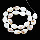 Natural White Shell Beads Strands X-PBB263Y-1-4