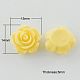 Resin Cabochons CRES-B2026-A14-1