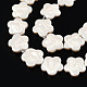 Plating Natural Freshwater Shell Beads Strands SHEL-N026-232-3