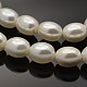 Oval Shell Pearl Bead Strands BSHE-M010-24-1