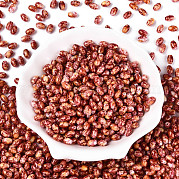 Спрей роспись стекла бисер SEED-T007-14B