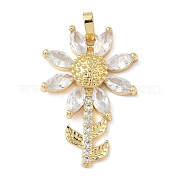 Подвески из латуни с микропаве из кубического циркония и стекла KK-Q068-24G