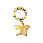 Подвески из нержавеющей стали 304 STAS-H233-14G