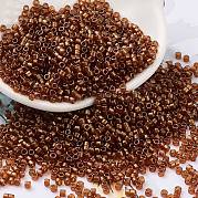 Выпечка краска стеклянные бусины SEED-S042-18B-01