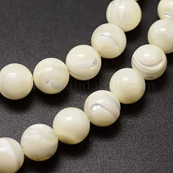 Muschelperlen Stränge&nbsp;SSHEL-E571-39-8mm