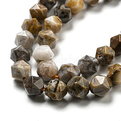 Fili di perle di agata naturale gobi&nbsp;G-NH0012-B03-01