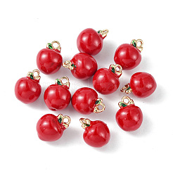 Messing Emaille Anhänger / charms&nbsp;KK-G462-37LG