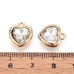 Charms rhinestone de la aleación&nbsp;PALLOY-T092-23G-01
