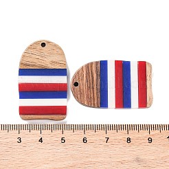 Pendentifs en résine rayée opaque et bois de noyer du jour de l'indépendance&nbsp;RESI-U010-02Y
