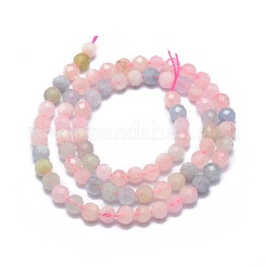 Naturperlen Stränge morganite&nbsp;G-G792-32B
