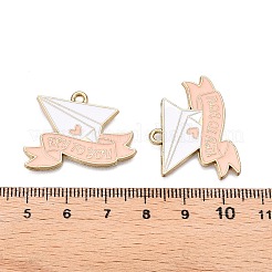 Pendentifs d'émail en alliage&nbsp;FIND-B007-02LG