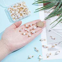100 pcs 10 styles pendentifs en plastique ABS imitation perle et kits de breloques de connecteur&nbsp;PALLOY-WR00021
