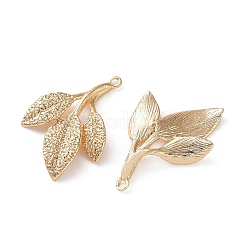 Messing Anhänger & Charms&nbsp;KK-L266-01A-G