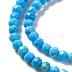 Fili di perline howlite naturale&nbsp;G-C025-02A-05