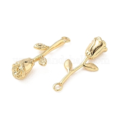 Pendentifs en laiton&nbsp;KK-C259-09G