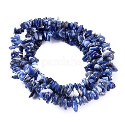 Chip sodalite naturali fili di perline&nbsp;LS-F024