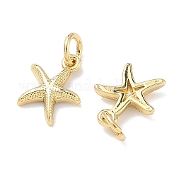 Messing Anhänger & Charms&nbsp;KK-P349-03G