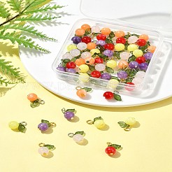60 pièce de 10 styles de breloques en acrylique&nbsp;PALLOY-FS00022