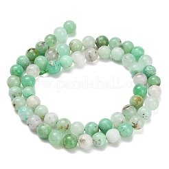 Perles de calcédoine naturelles&nbsp;G-C259-B02-6mm