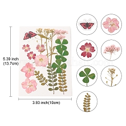 Gepresste Trockenblumen&nbsp;DIY-YWC0001-95