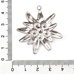 Pendentifs en acier inoxydable 304&nbsp;STAS-Z149-05B-P