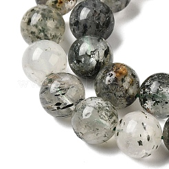 Fili di perline di gemstone naturale&nbsp;G-D359-B02-12mm