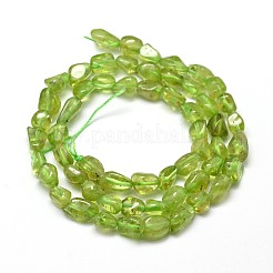 Natürliche peridotnuggets Perlenstränge&nbsp;G-J335-41