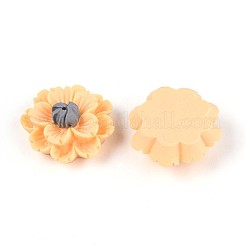 Decoden-Cabochons aus Harz&nbsp;CRES-T025-04B