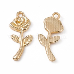 Aluminium Anhänger & Charms&nbsp;PALLOY-K259-05G
