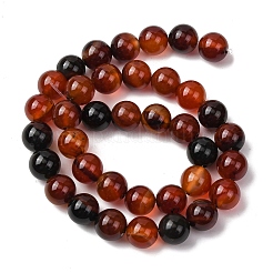 Tinti agata naturale perle tonde fili&nbsp;G-E321B-10mm-02