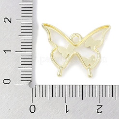 Gestell Legierung Emaille Anhänger&nbsp;PALLOY-F018-15G-01