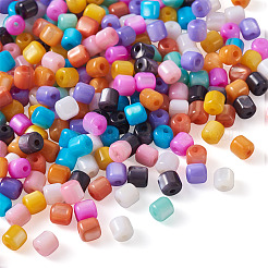 300 pz 10 colori perline naturali di conchiglia d'acqua dolce&nbsp;SHEL-TA0001-06