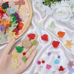 DIY-Sets mit Blumen- und Blattmotiven&nbsp;OACR-BM0001-08