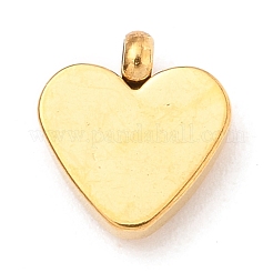Anhänger aus 304 Edelstahl&nbsp;STAS-I165-05G