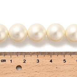 Shell Perlen Stränge&nbsp;BSHE-XCP0001-32