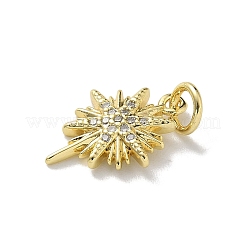 Pendentifs avec zircon cubiques à micro-pavés en laiton&nbsp;KK-M300-06G-01