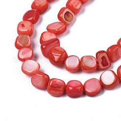 Fili di perle di conchiglia trochid naturale / trochus&nbsp;SHEL-S258-083-B06