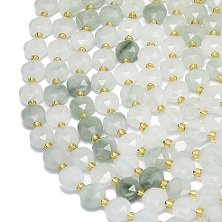 Perles de quartzite naturel Tianshan Cui en brins&nbsp;G-C116-A61-02