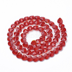 Perle di vetro trasparente&nbsp;GLAA-Q066-14mm-A-M
