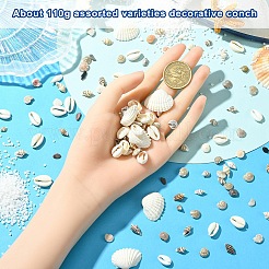Kit di decorazioni fai da te per espositori di conchiglie&nbsp;DIY-YW0017-04