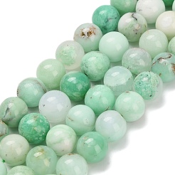 Natürliche Chalcedonperlen&nbsp;G-C259-B02-10mm