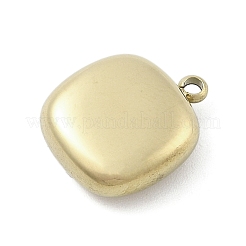 Anhänger aus chirurgischem Edelstahl 316&nbsp;STAS-S159-02C-G