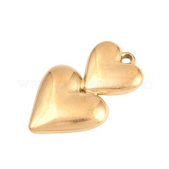 Anhänger aus Edelstahl 304&nbsp;STAS-D264-06F-G