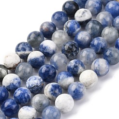 Chapelets de perle ronde en sodalite naturelle&nbsp;G-E334-6mm-08