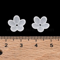 Embouts de perles acryliques dépolis&nbsp;AC-CBA81FF-02